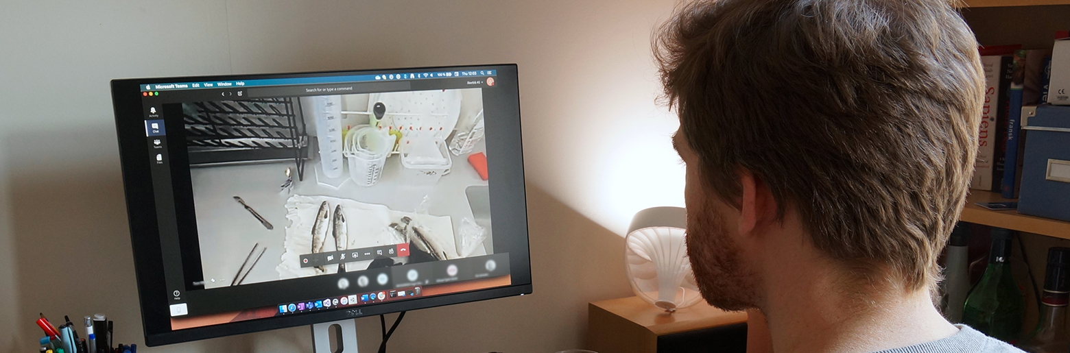 Hjemmekontor Jelmer Verhoog i Sopra Steria