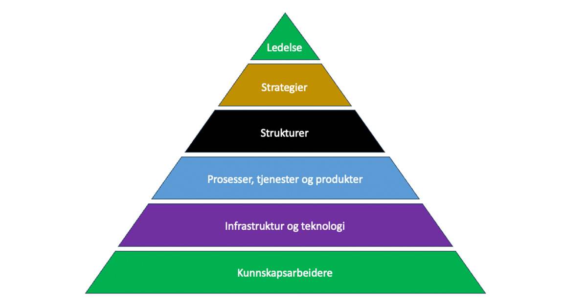 Basiselementene i en kunnskapsbasert organisasjon. Illustrasjon:  Stefano A. Donati